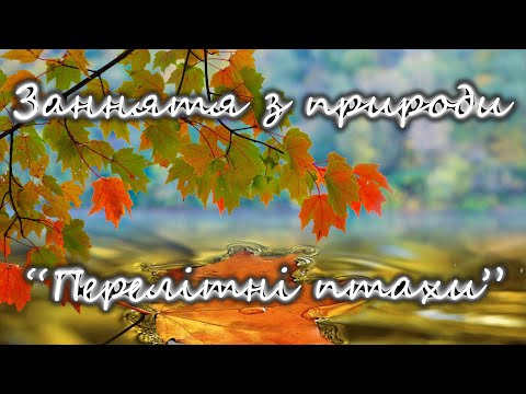 Видео: Заннятя з природи "Перелітні птахи"