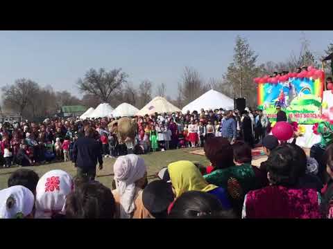 Видео: Шиен ауылының жігіттері.