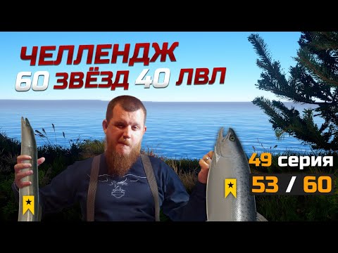 Видео: 60 ТРОФЕЕВ НА 40 ЛВЛЕ ● Челлендж ● 49 Серия ● Русская Рыбалка 4