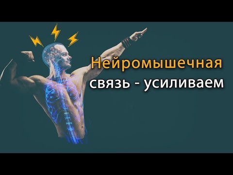 Видео: Как усилить нейромышечную связь в бодибилдинге и тренировках в зале