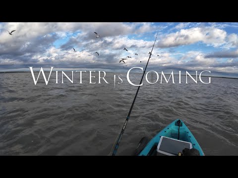 Видео: "Зима близко" #рыбалка #рыбалкаскаяка #морскойокунь