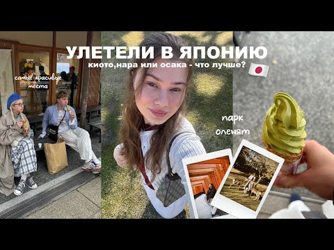 Видео: Япония влог | Киото, Осака и парк оленят 🇯🇵