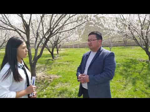 Видео: Альберт Омуркулов: ,, Идеалдуу адамым атам болгон"