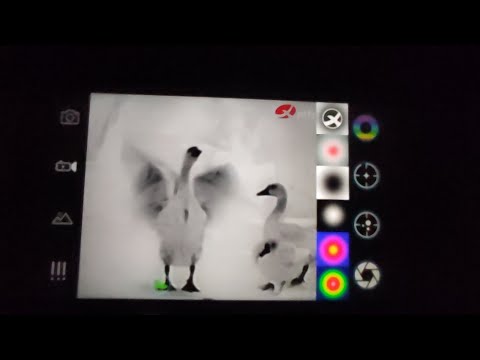 Видео: Тепловизионный монокуляр InfiRay T2 Pro .Самый маленький тепловизионный прибор.