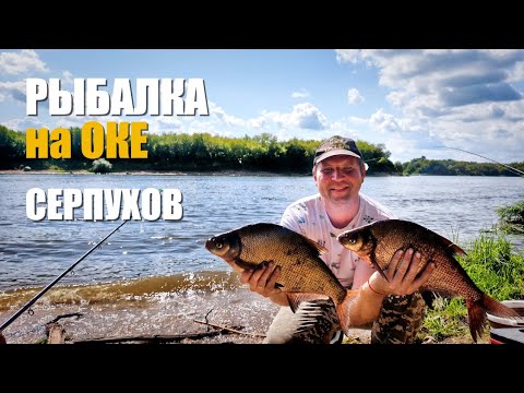 Видео: Рыбалка на ОКЕ. СЕРПУХОВ.