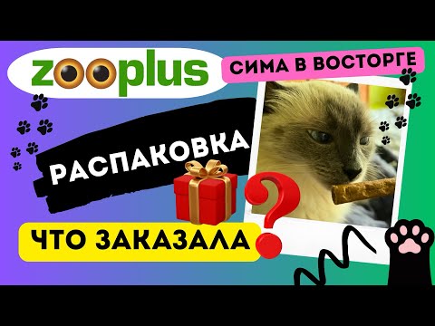 Видео: Всё для Симы 🐾 Распаковка вкусняшек и корма из ZooPlus