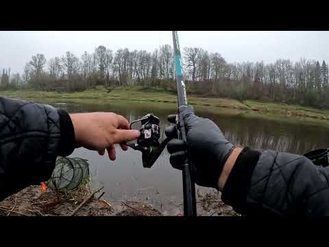 Видео: Карп, Лещ и их друзья , отчет # 308
