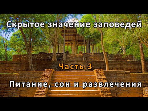 Видео: Скрытое значение заповедей. Часть 3