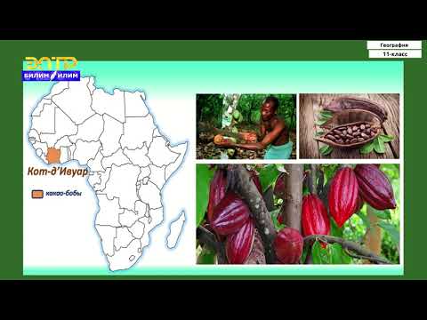 Видео: 11-класс | География  | Африка өлкөлөрү. Африканын региондору