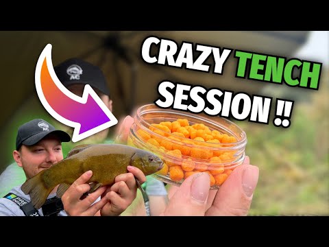 Видео: Ловля линя на вафли со вкусом сладкой кукурузы!!!!!!