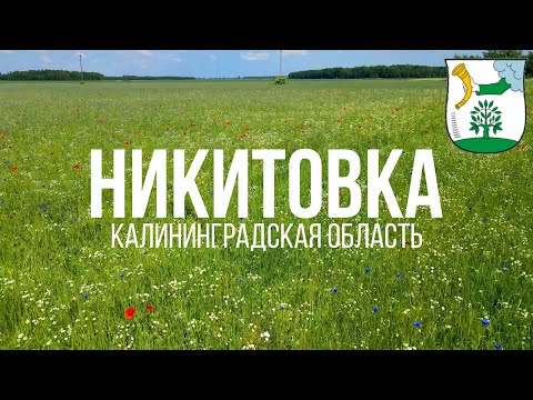 Видео: 4K. Никитовка. Полесский район. Калининградская область