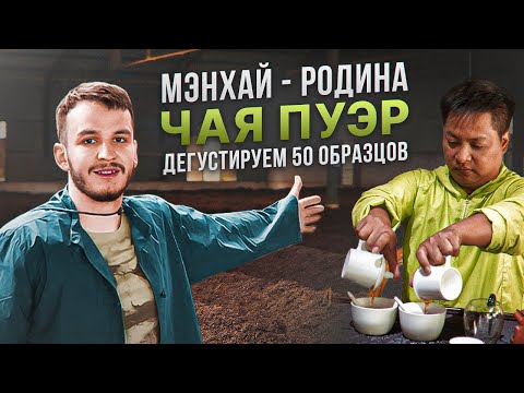 Видео: Мэнхай - родина чая пуэр | отбираем шу пуэр | производство Во Дуй | огромный завод чая | Чаёк