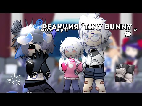 Видео: 🌀Реакция «Tiny bunny» на Антона как рандом💬