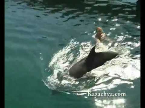 Видео: Бухта Казачья, Севастополь.