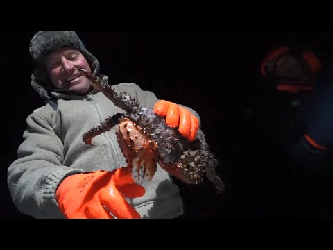 Видео: За крабами и корюшкой в бухту Мелководная, на снегоходах Тайга Патруль 800