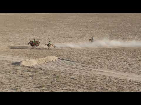 Видео: Бәйге Сайын Шапағатов ауылы 30.08.2022 Қазанат Тай