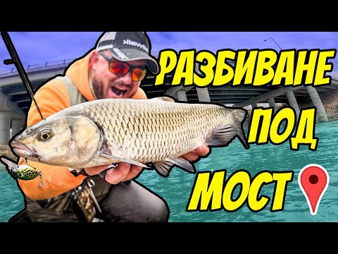 Видео: ОТКРИХМЕ ГИ ПОД МОСТ! РИБОЛОВ НА КЕФАЛ С ВОБЛЕР