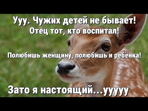 Видео: Может ли мужчина принять чужое потомство?