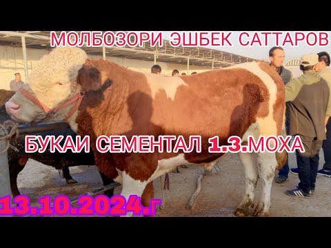 Видео: НОХИЯИ ДУСТИ МОЛБОЗОРИ ЭШБЕК САТТАРОВ 13.10.2024.г