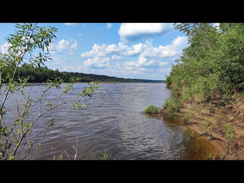 Видео: Рыбалка на Вятке. Прикормка сработала. Уха на костре и чай со смородиной.