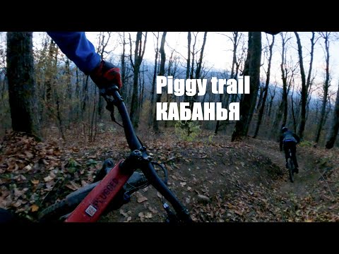 Видео: Piggy Trail Кабанья