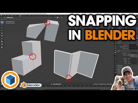 Видео: Начало работы с привязкой в ​​Blender! Учебное пособие по инструментам привязки