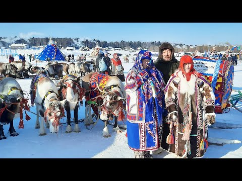 Видео: День оленевода в Ханты-Мужи | Северный колорит
