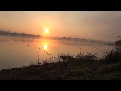 Видео: ПРИЕХАЛ ЛОВИТЬ ЛЕЩА, а ОНА ДОНКУ НЕ ДАЕТ ПОСТАВИТЬ! Рыбалка на ДОНКИ! Ловля на КОРОТКИЕ Поводки!