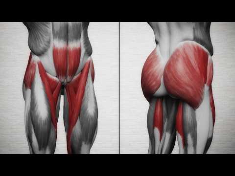Видео: Мужское здоровья! Упражнения для кровообращения таза!