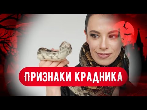 Видео: ПРИЗНАКИ КРАДНИКА.Как завистники воруют ваше СЧАСТЬЕ?Что такое КРАДНИК?Ведьмы.Чёрная магия.Часть 1.