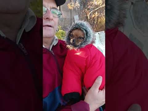 Видео: Масяня