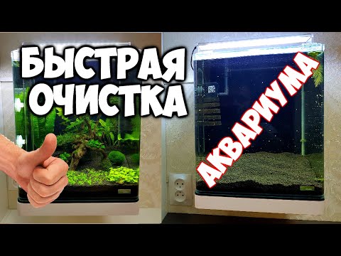 Видео: Как быстро очистить воду в аквариуме от взвеси . Как выловить всех креветок из аквариума .