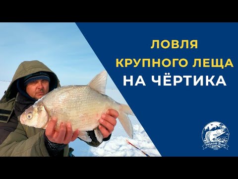 Видео: Ловля крупного Леща на чёртика. Безмотылка. Catching large Bream on the devil