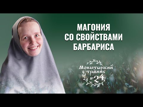 Видео: Вкусный травяной чай из магонии с барбарисом. Монастырский травник