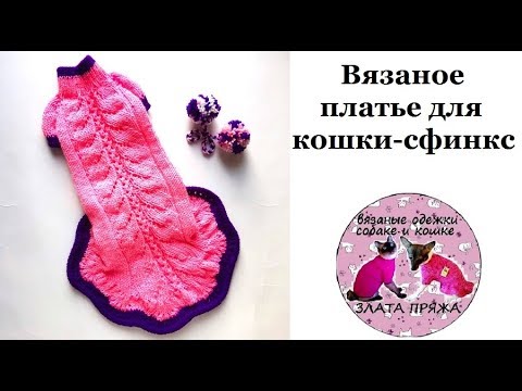 Видео: 52. Вязаное платье для кошки-сфинкс Экспресс МК