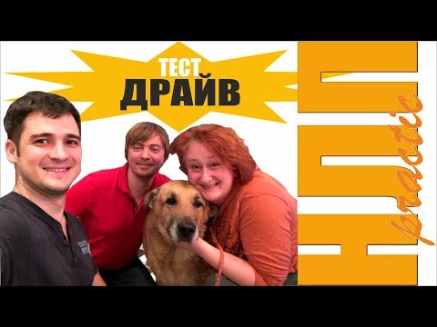 Видео: Танино НЛП: тест-драйв курса Татьяны Мужицкой и Александра Родионова. 1 часть