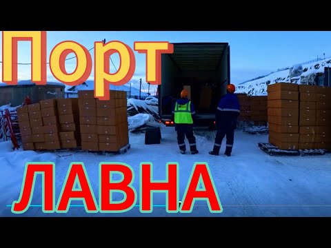 Видео: СДОХ аккум❌️// ЛИСА на стоянке🦊! Покатушки по МУРМАНСКУ и его окрестностям!🚚🚀