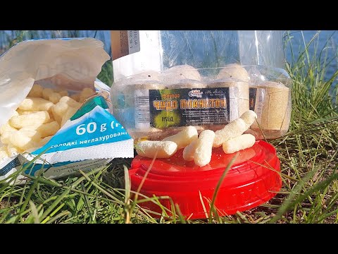 Видео: Ловля Толстолобика в Маю. Специфика рыбалки в 2023г.