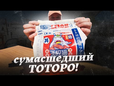 Видео: Сумасшедший ТОТОРО. Китаизация японизации!!!
