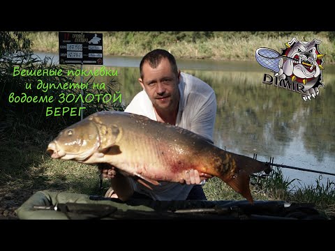 Видео: Бешеные паровозы и дуплеты на водоеме Золотой Берег