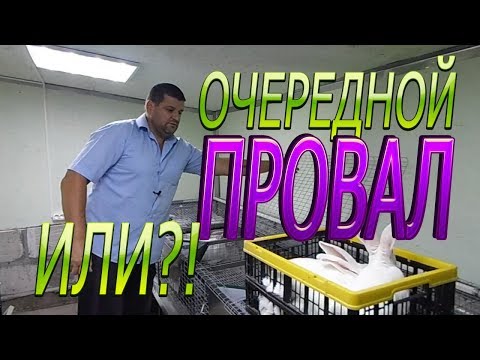 Видео: ХИКОЛЬ 90 ДНЕЙ.