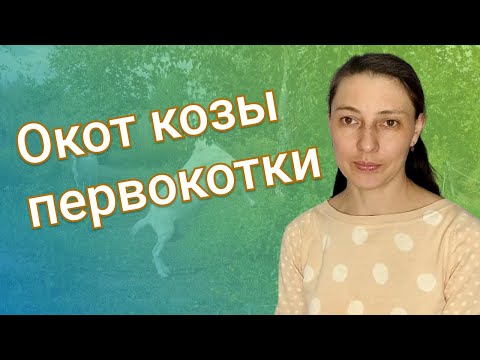 Видео: Окот козы первокотки. Особенности