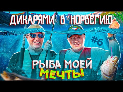 Видео: Рыбалка в Норвегии | Лофотенские острова | ДИКАРЯМИ В НОРВЕГИЮ #6