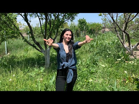 Видео: Пойдём за конским щавелем!Как собрать, сушить и использовать?!