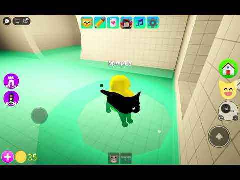 Видео: Как получить черного рыся и акулу в игре с котятами