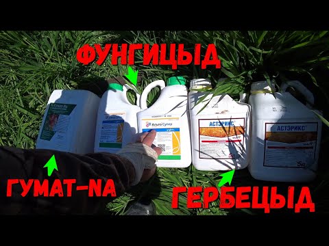Видео: Работаем по Пшенице и Ячменю гербицидом+фунгицидом+гуматом-Na/Защита растений Препаратами!!!