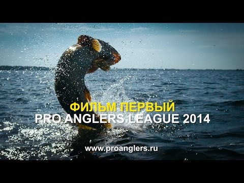 Видео: Pro Anglers League 2014 "ФИЛЬМ ПЕРВЫЙ" (4K Resolution)