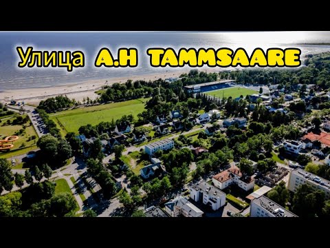 Видео: Прогулка по улице A.H.TAMMSAARE!(Pärnu,Estonia 08.09.2024.)🇪🇪