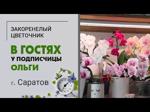 Видео: В гостях у Ольги, владелицы магазина Закоренелый цветочник г. Саратов