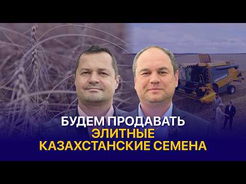 Видео: Органические семена, засухоустойчивый Таймас и новый озимый сорт пшеницы — НПЦЗХ им. Бараева